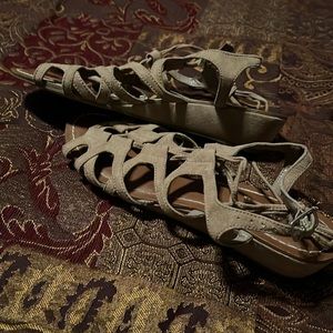 Carlos Santana 1 inch Wedge Gladiator